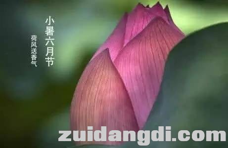 9c4a8e7fbf3f268e059c484c7dd5dbec.jpg