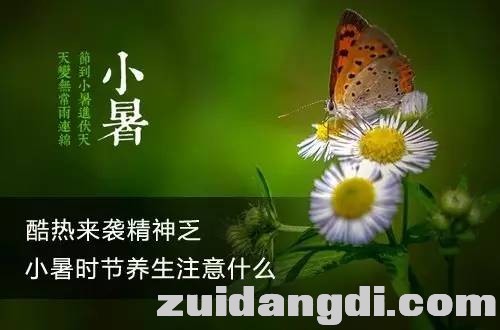d1bcde4aec33bd705fb98fc56ac81c22.jpg
