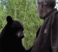 1bf00000336572208130