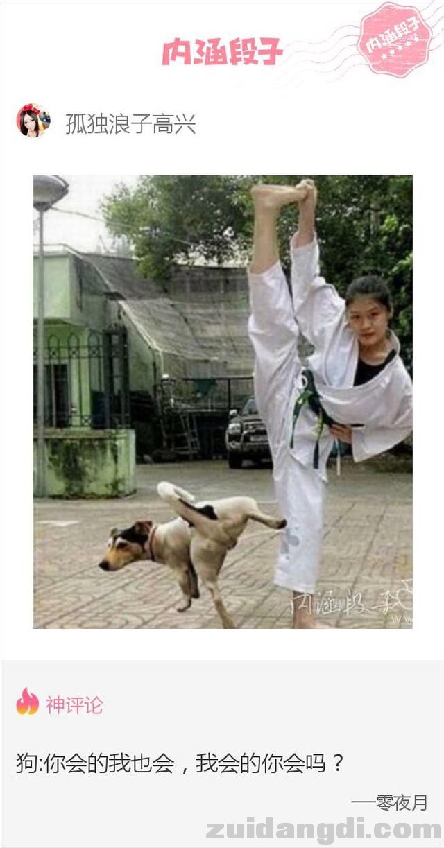 1b7a00067717cc09e6ed