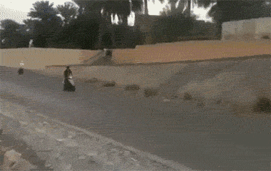 1b10000461e5102ee803