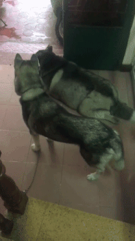 1b1400025429da5aa69d