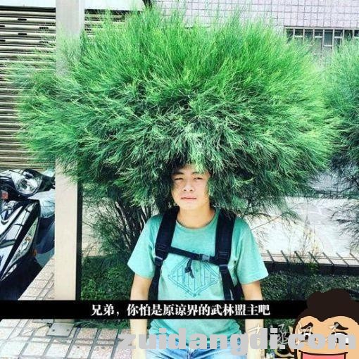 31d100041e79e4093446