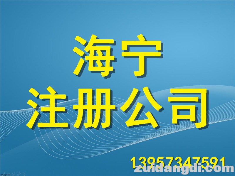 海宁注册公司-蓝 (6).jpg