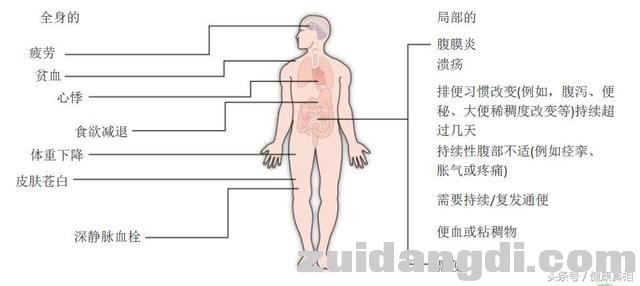 1f7f0005a41d24626bc3