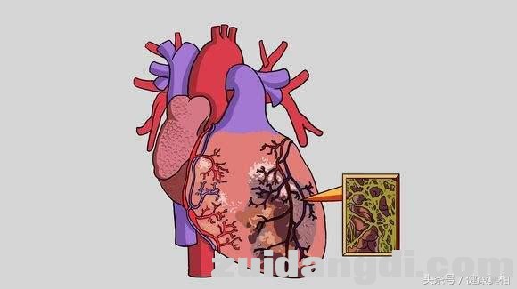 1f8b0000c795877f9ffe