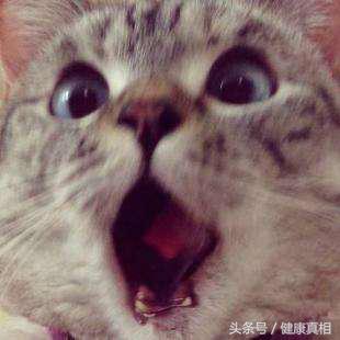 1b7a0003a72a547ad5a0