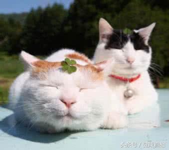 1f7c00028460a5b02aab