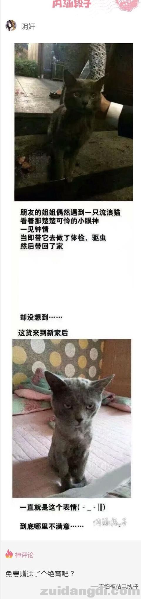 31cc0001e0a0af844b3b