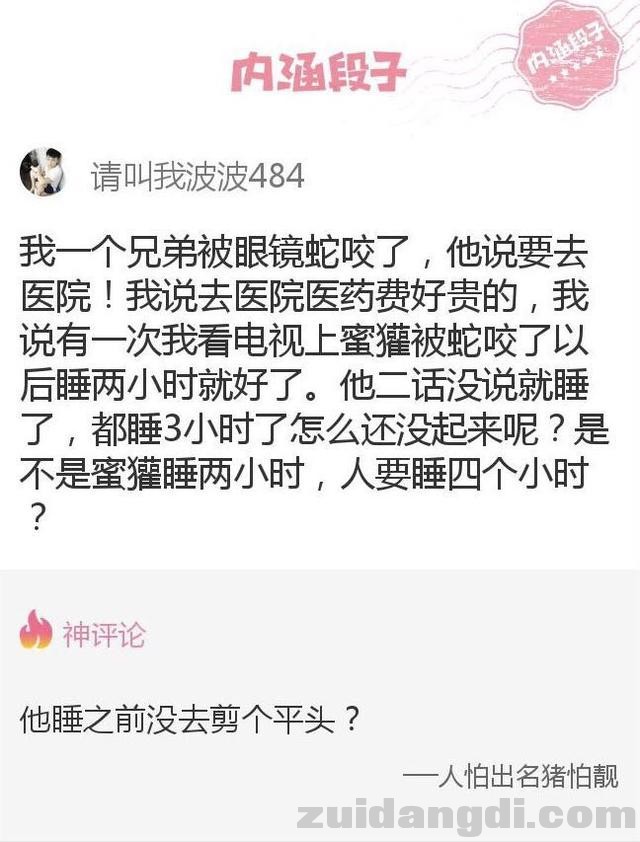 31ca0001e0251f834fef