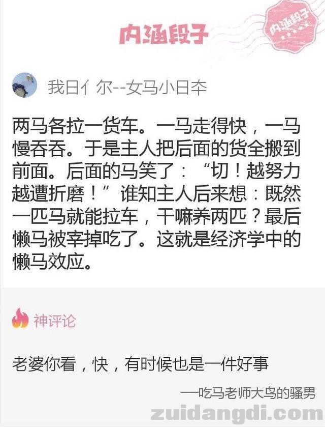 31c90004127293a1691c