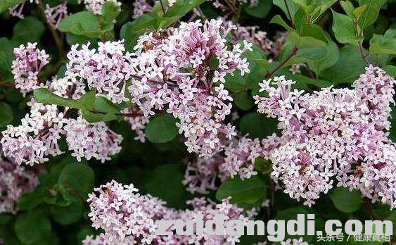 1f7d0006197253967bc7