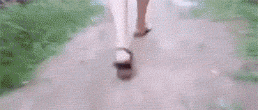 31e40002c76e5bf27c0f