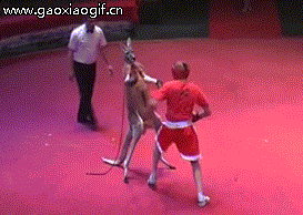 31e40002d386b40c8d23