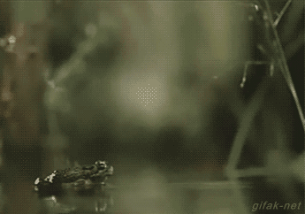 31de0003b563286fd1e2