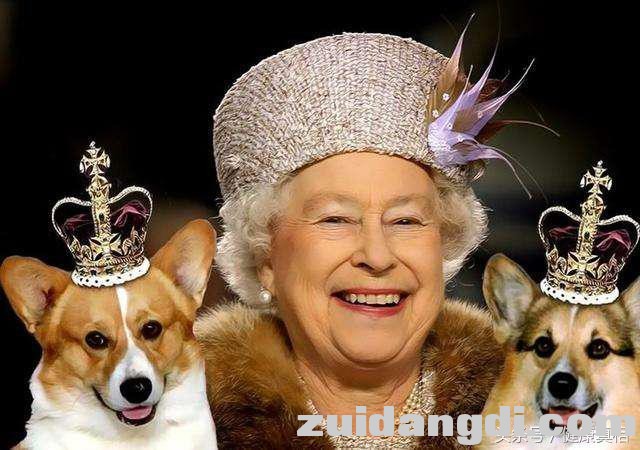 1f8e0000b7a8e21cdb19