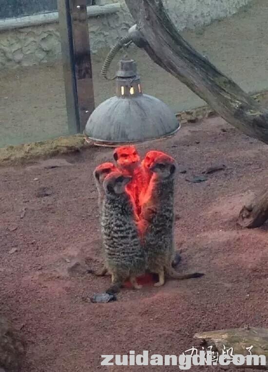 31e6000085515e6d1f43