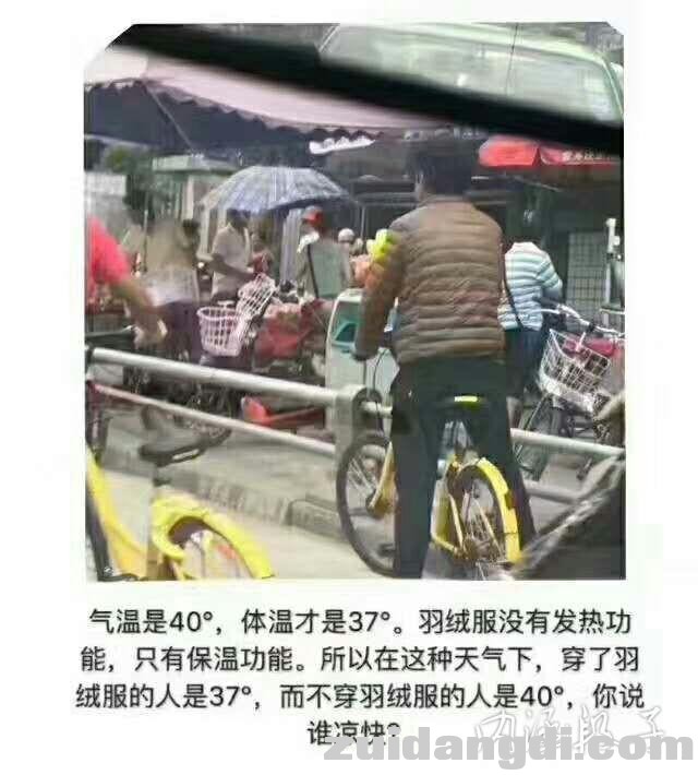 31da00036f0459a02958