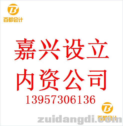 百都嘉兴注册公司 (15).jpg