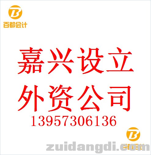 百都嘉兴外资公司注册 (1).jpg