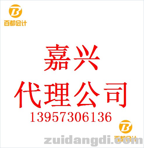 百都嘉兴注册公司 (1).jpg