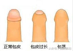 1dc4000313836cc2e7ed