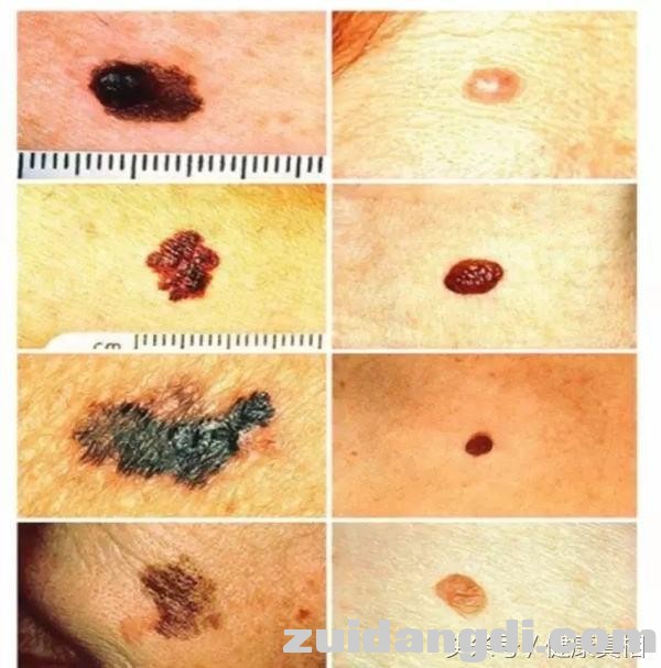 1f7d0002814a3d72fd7d