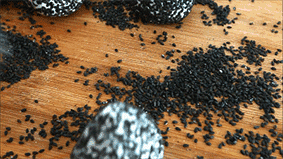 2438000206984579b56c