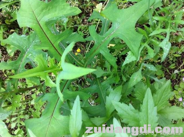 1af000048a952941e30d