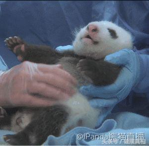 2889000215734d4f42a5