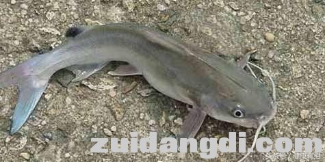 26e3000240ec9a22d7ca