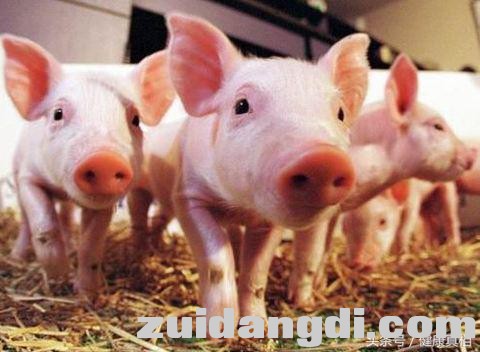 24380002ee8fdfd175d2