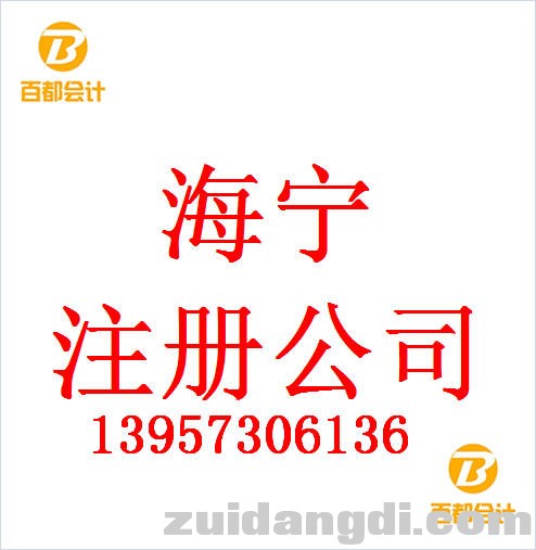 百都海宁注册公司 (1).jpg