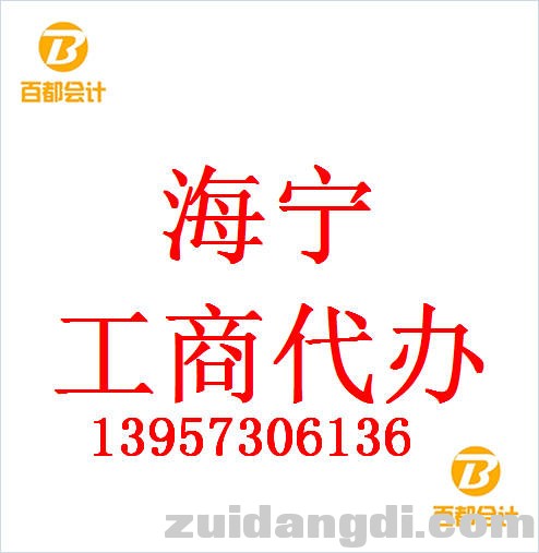 百都海宁注册公司 (3).jpg