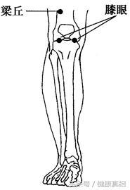 2ec900025779ed54fd90