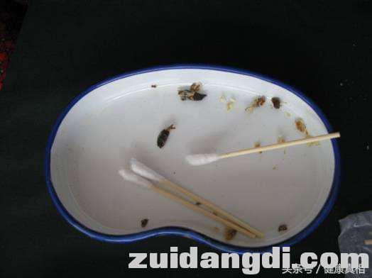 1b7c0001966fa02a1631