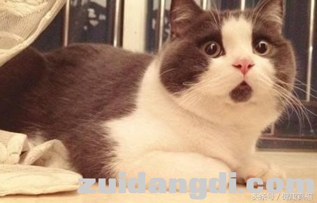 1b7a000313dcec0a7f6f