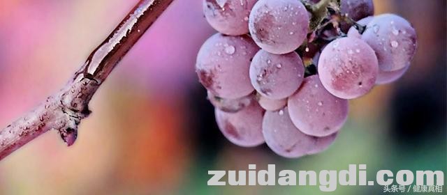 212c00061b1d1594806b