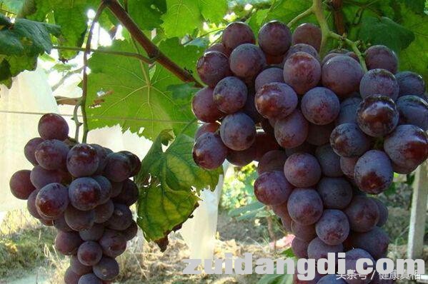 213200064a805110e6e8