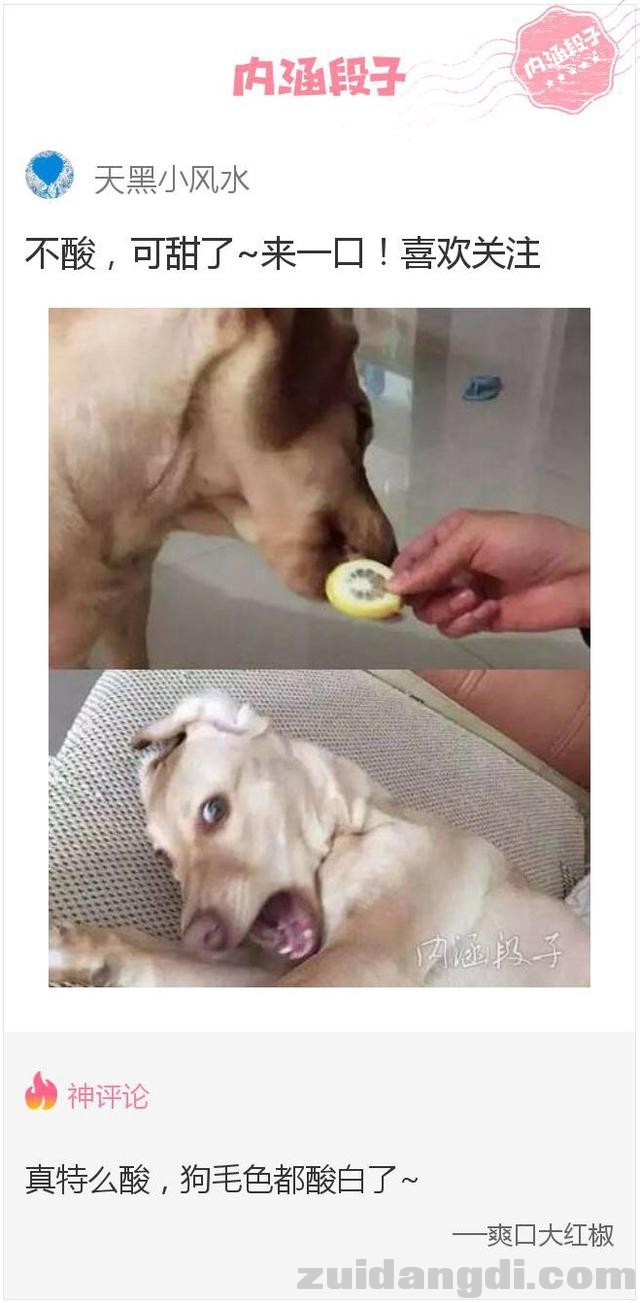 1c60000316a628f7ef6c