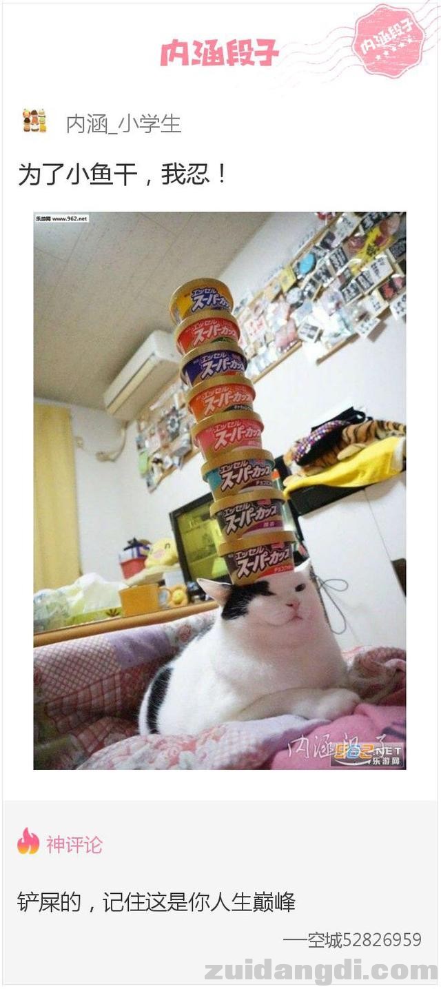 1c5b0005b07aa40eae45