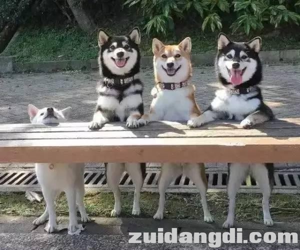 1c5f0003d1d8e3bed260