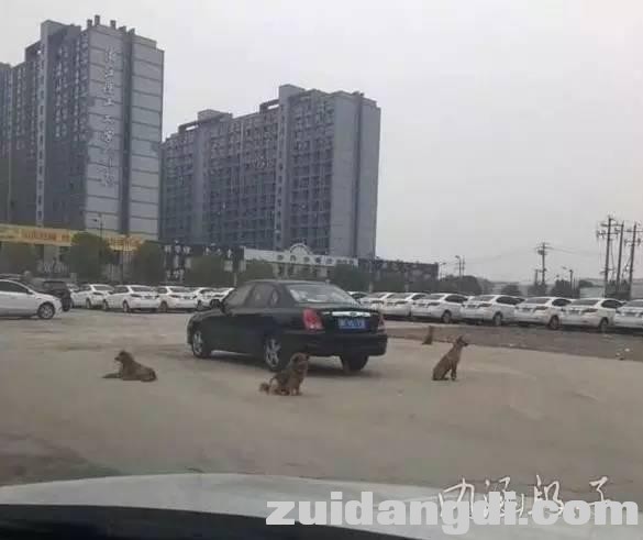 1c5d0003b2dbb13a47c0