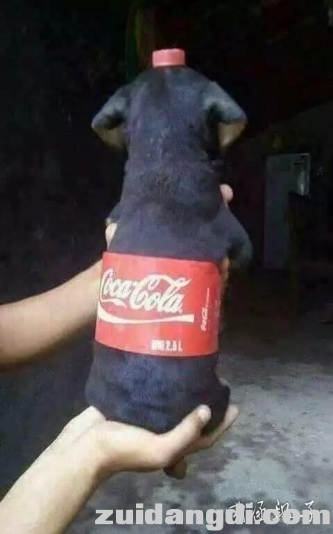 31d1000430435c43bb92