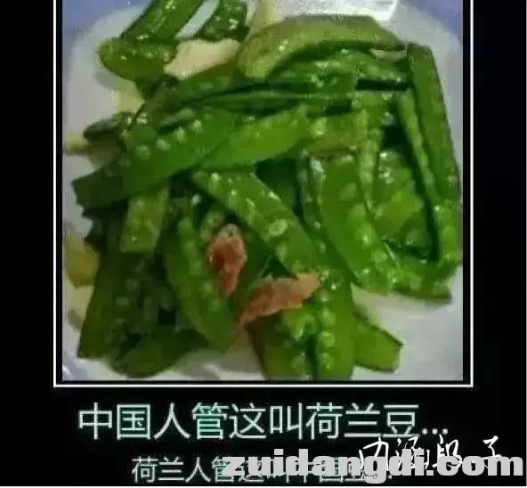 31d2000427b48e293447