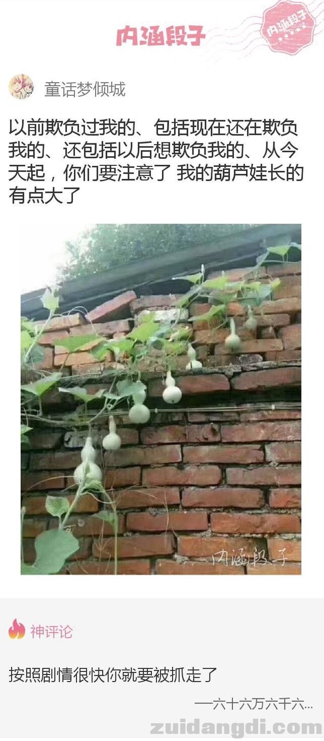 31dd000137bea4a20a2a