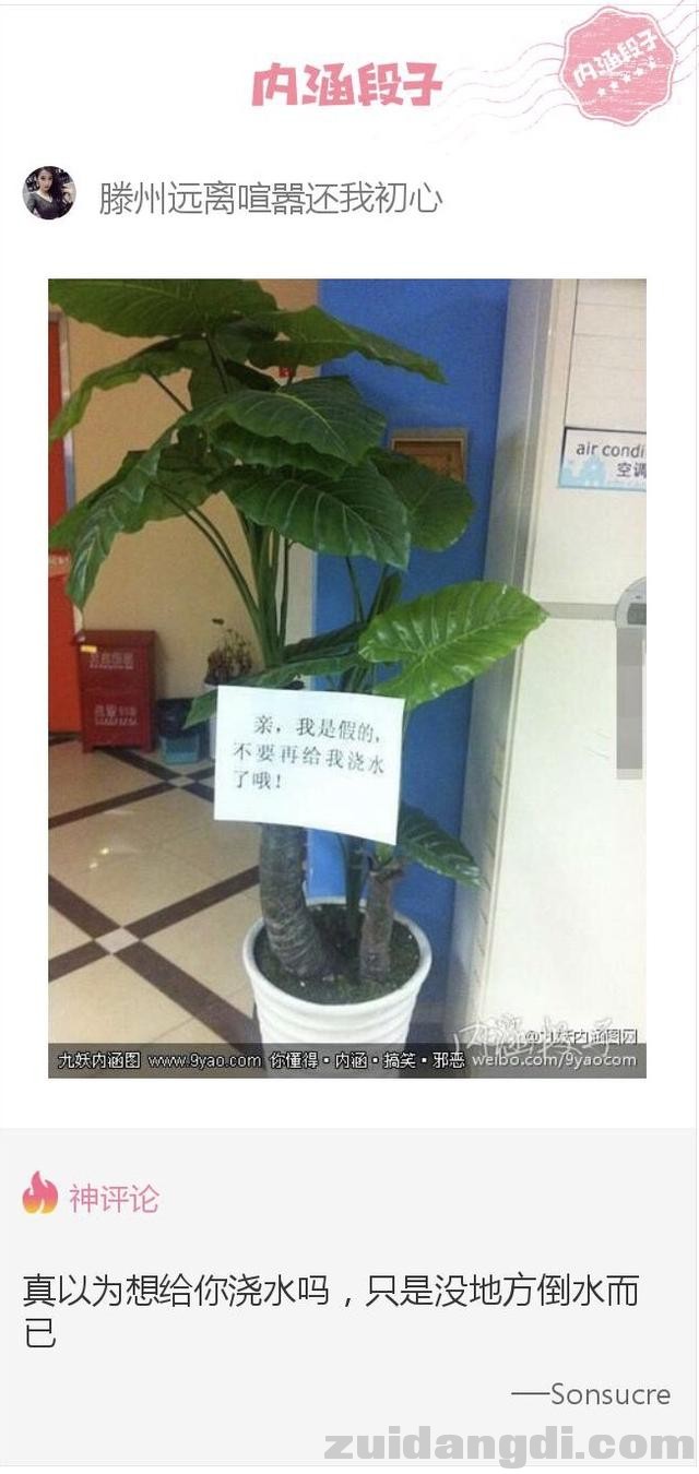 31d50001531d6eca76ff