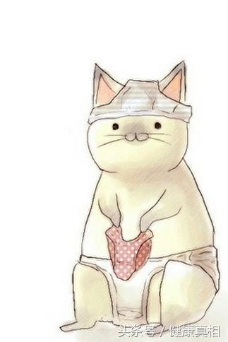 2ed70001d381864cbbe0