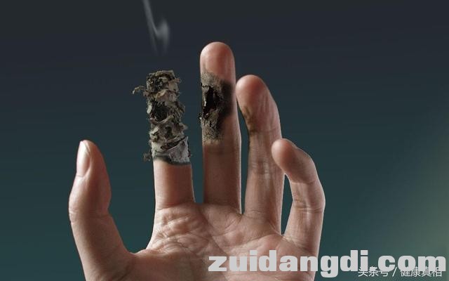 31cc0001ce8789c60002