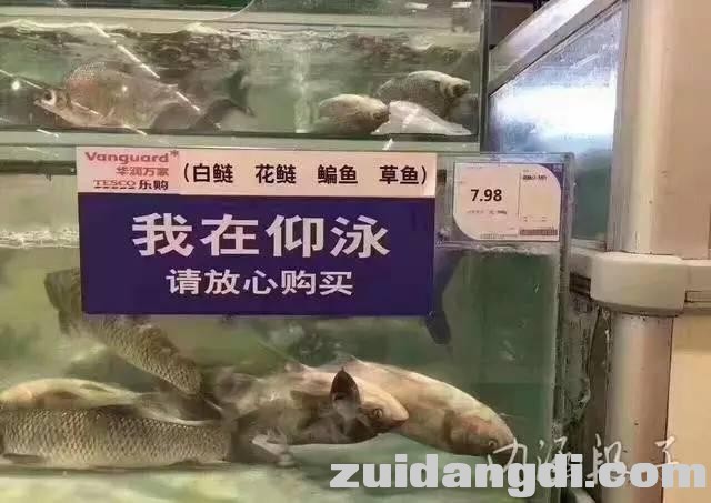 1db700003296c9b0921a